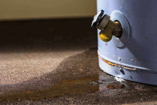 Best Basement water damage restoration  in Manchester, MD