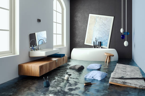 Best Water damage mitigation services  in Manchester, MD