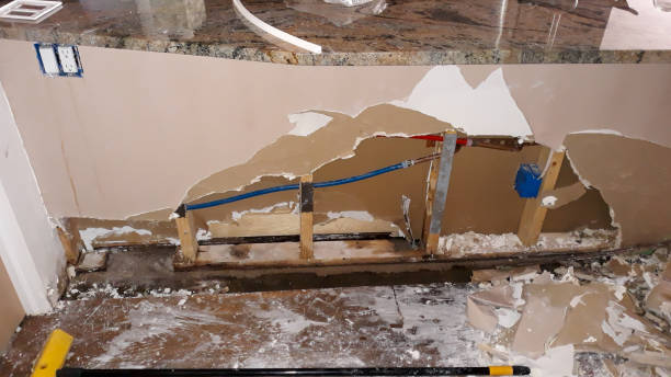 Best Ceiling water damage repair  in Manchester, MD
