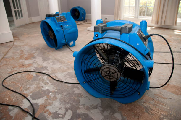 Best Water damage restoration near me  in Manchester, MD