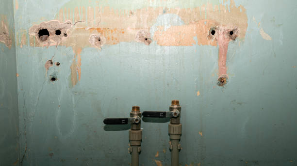 Best Water damage cleanup near me  in Manchester, MD