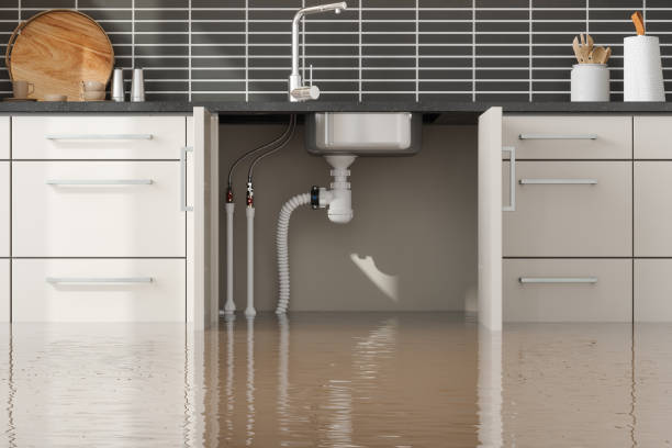 Best Water damage contractors near me  in Manchester, MD