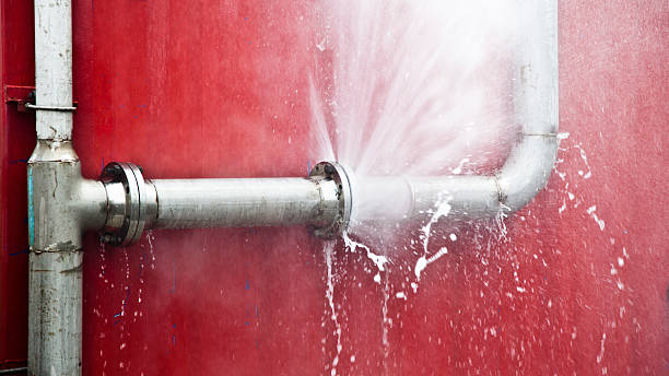 Best Water damage cleanup near me  in Manchester, MD